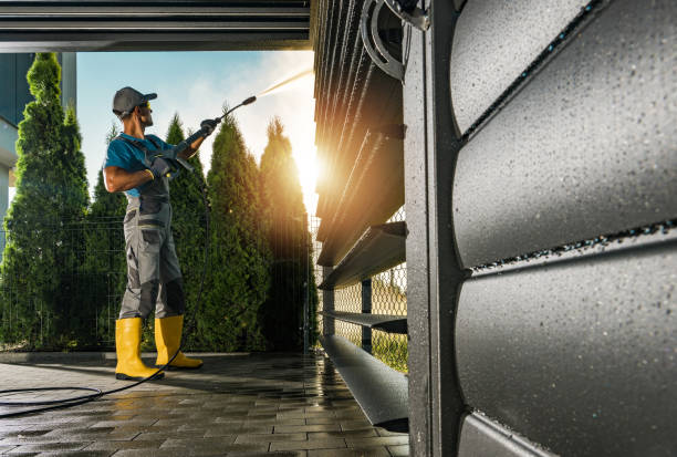Best Graffiti Removal  in Brundidge, AL